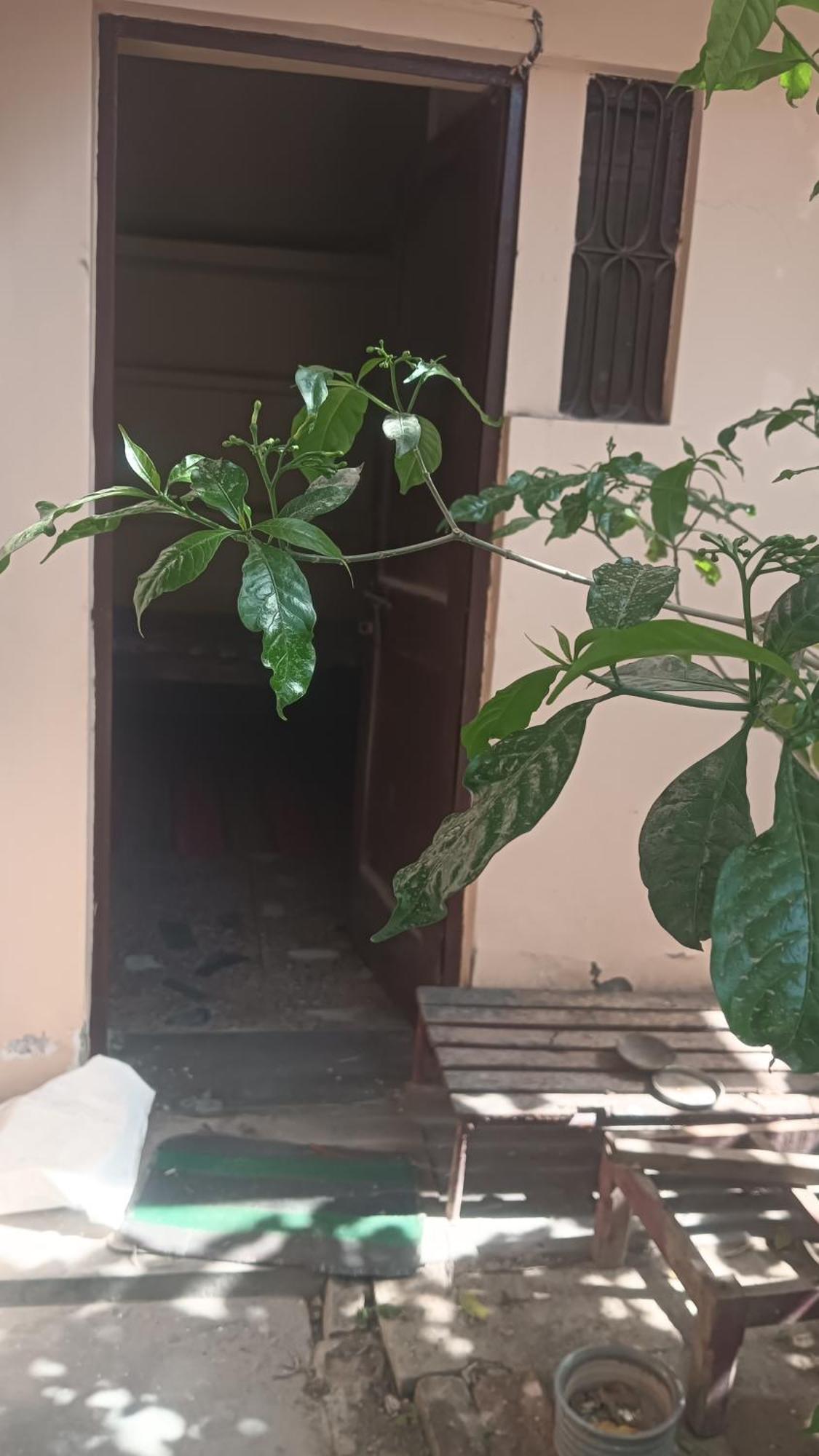 Ds Home Lucknow Luaran gambar